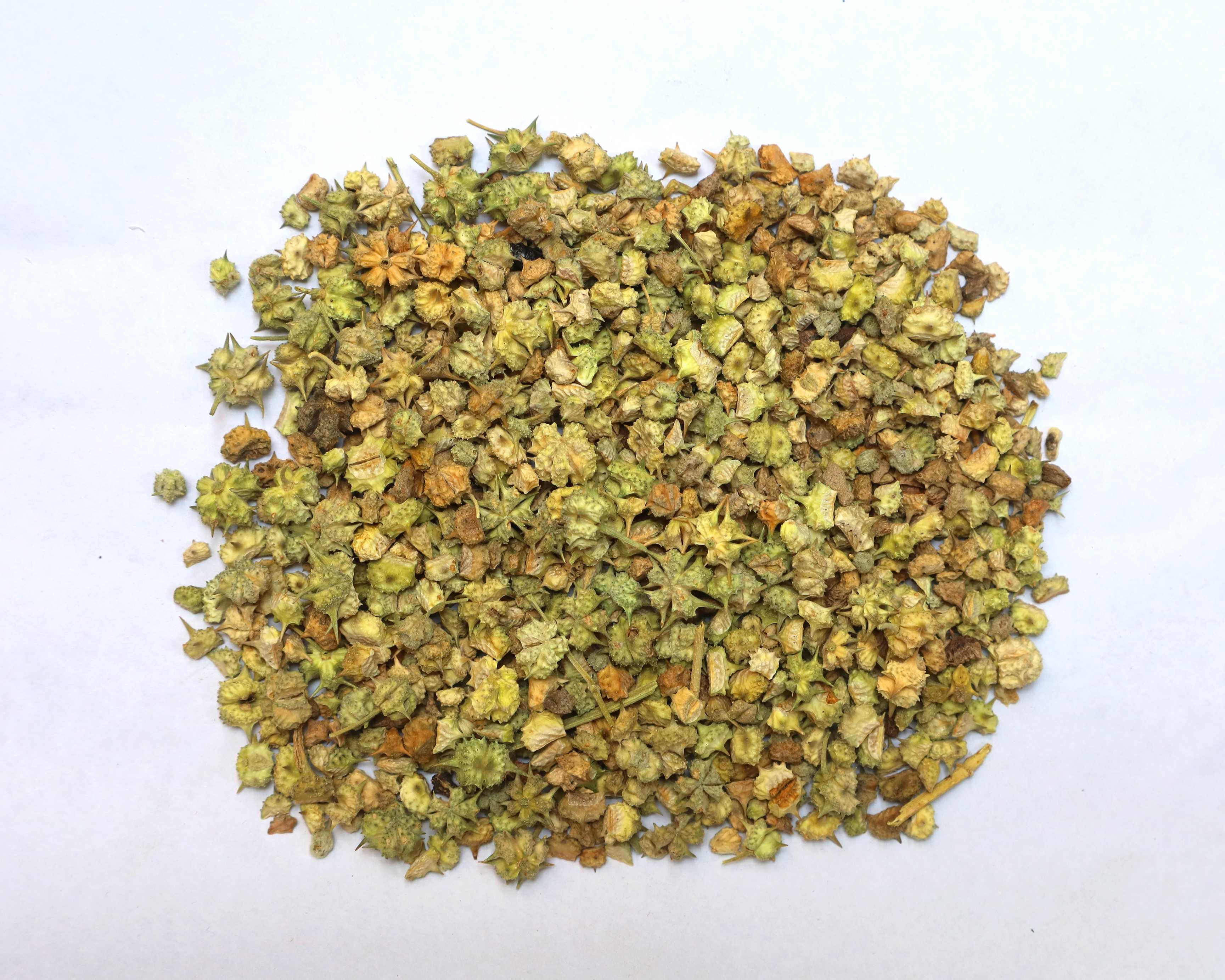 Tribulus
