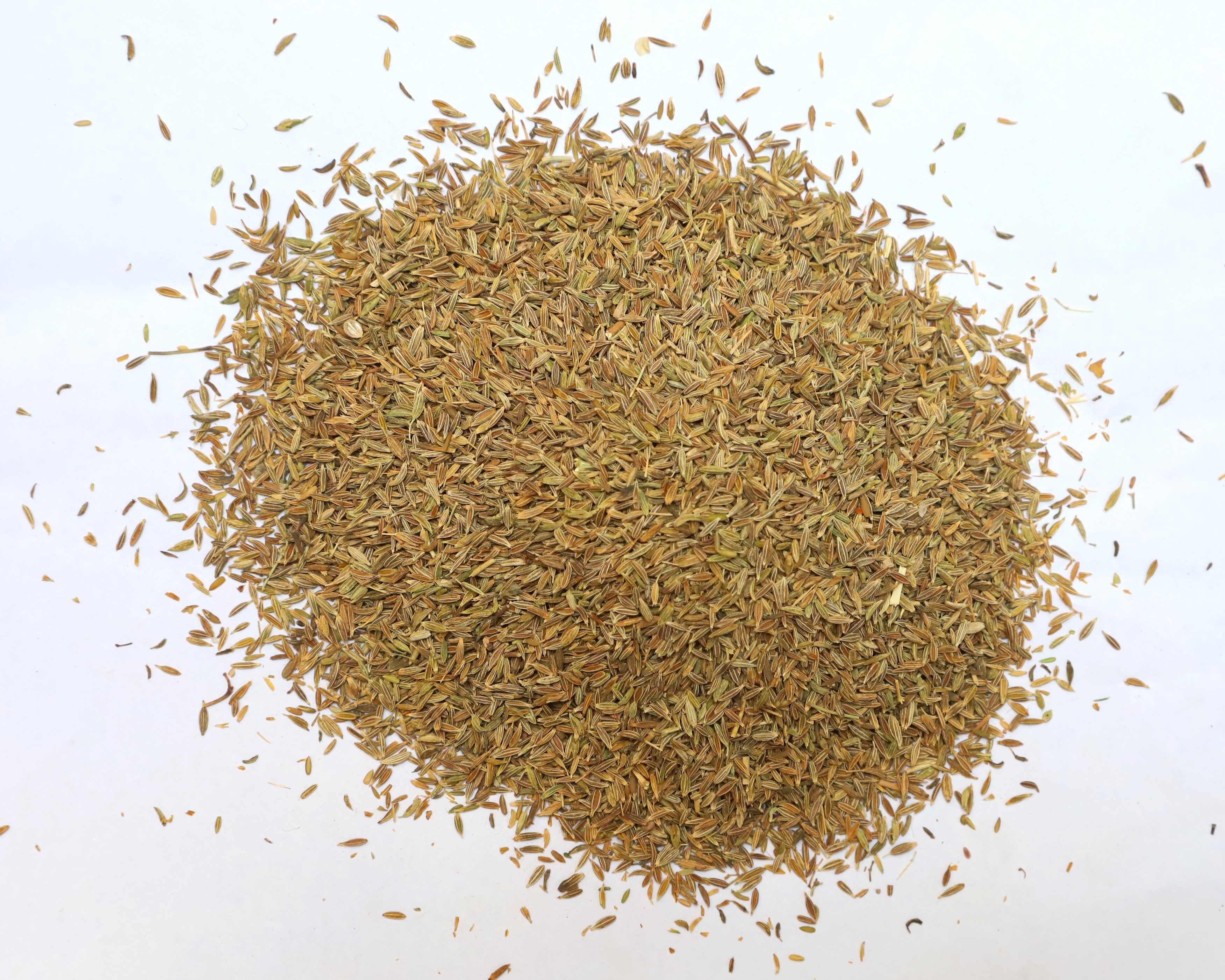 Cumin Seeds