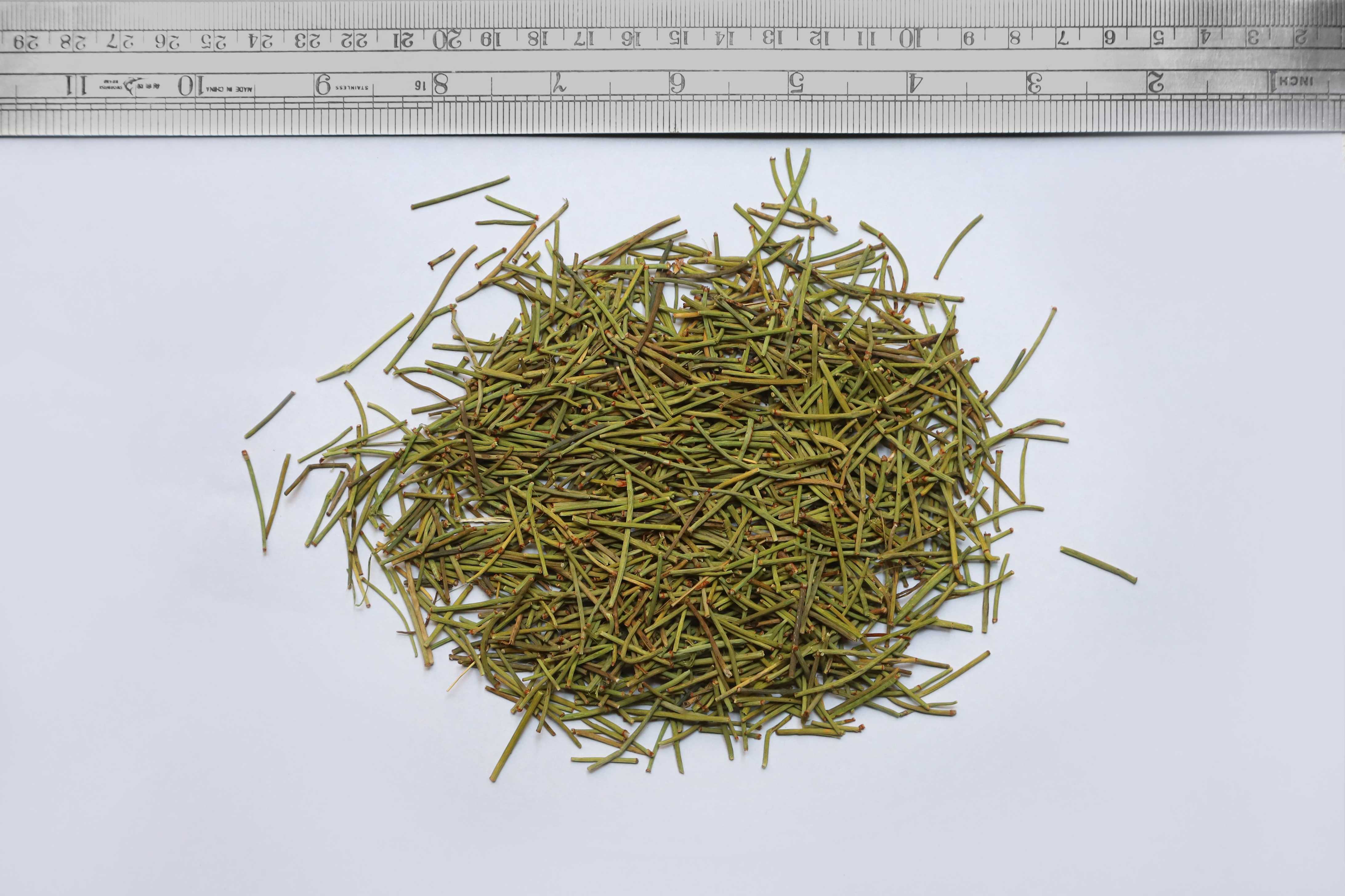 Ephedra Herba